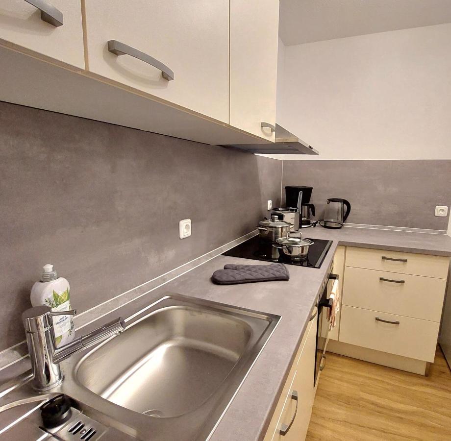 Moderne Wohnung Mit Vollausstattung In Ruhiger Lage, W-Lan Grossrohrsdorf 外观 照片